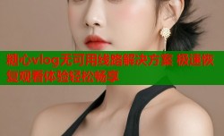 糖心vlog无可用线路解决方案 极速恢复观看体验轻松畅享