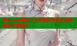 糖心vlog限时三次观看体验每日独家精彩不容错过