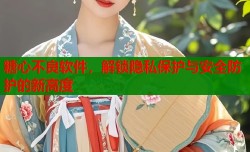 糖心不良软件，解锁隐私保护与安全防护的新高度
