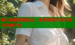 糖心破解版蓝奏云：免费高速文件分享与存储平台