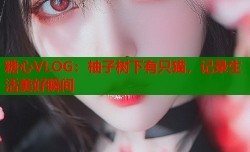 糖心VLOG：柚子树下有只猫，记录生活美好瞬间