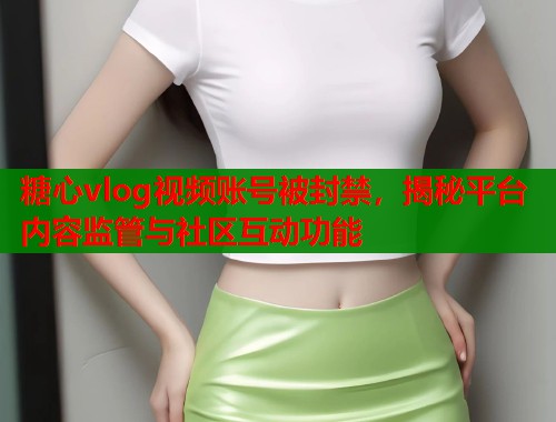 糖心vlog视频账号被封禁，揭秘平台内容监管与社区互动功能  第1张