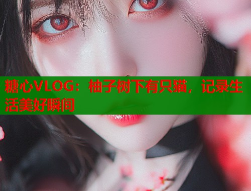 糖心VLOG：柚子树下有只猫，记录生活美好瞬间  第1张