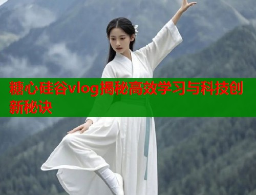 糖心硅谷vlog揭秘高效学习与科技创新秘诀  第1张